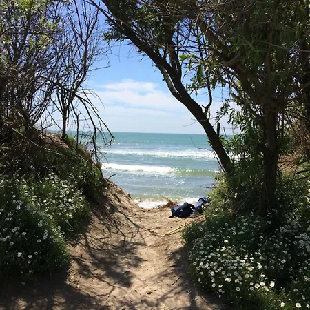 237 Port Camargue, Piscine, Climatisation, 2 Personnes アパート *