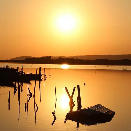 237 Port Camargue, Piscine, Climatisation, 2 Personnes アパート *