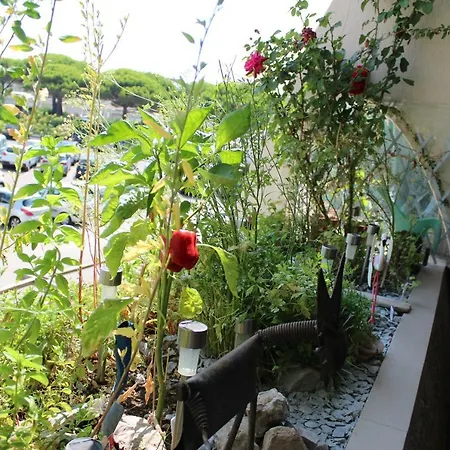 237 Port Camargue, Piscine, Climatisation, 2 Personnes Apartment